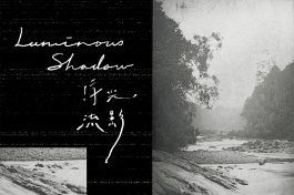 Luminous Shadow-icon